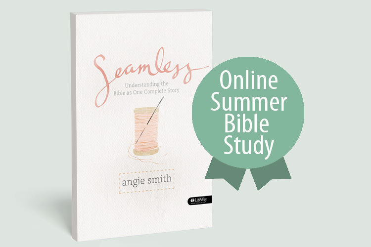 Cover of Seamless Bible Study, the words "online summer bible study"