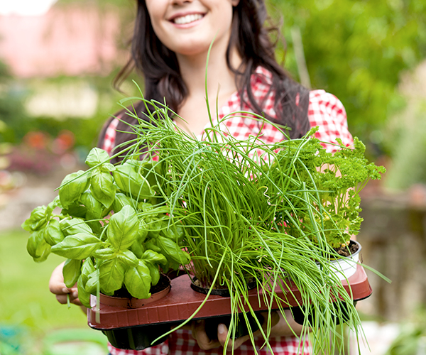 Smiling woman holding tray of green potted plants